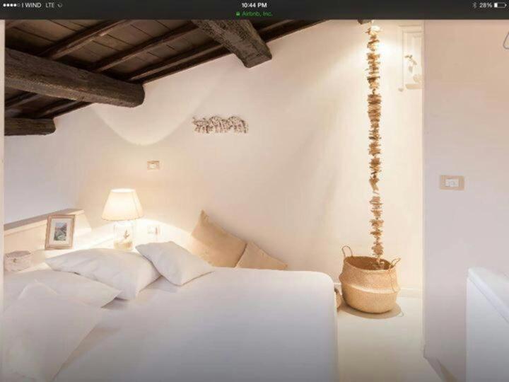 Navona Luxury Penthouse Home ローマ エクステリア 写真